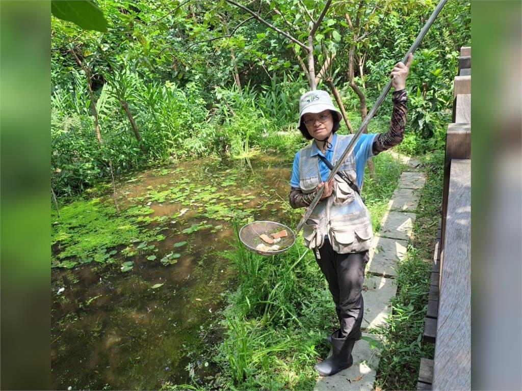 快新聞／小小吐司惹的禍！　北市賞螢景點榮星花園生態池遭汙染