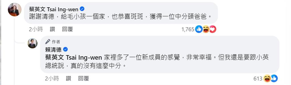 快新聞／「斑斑」照釣出蔡英文恭喜獲中分頭爸爸　賴清德：沒這麼中分！