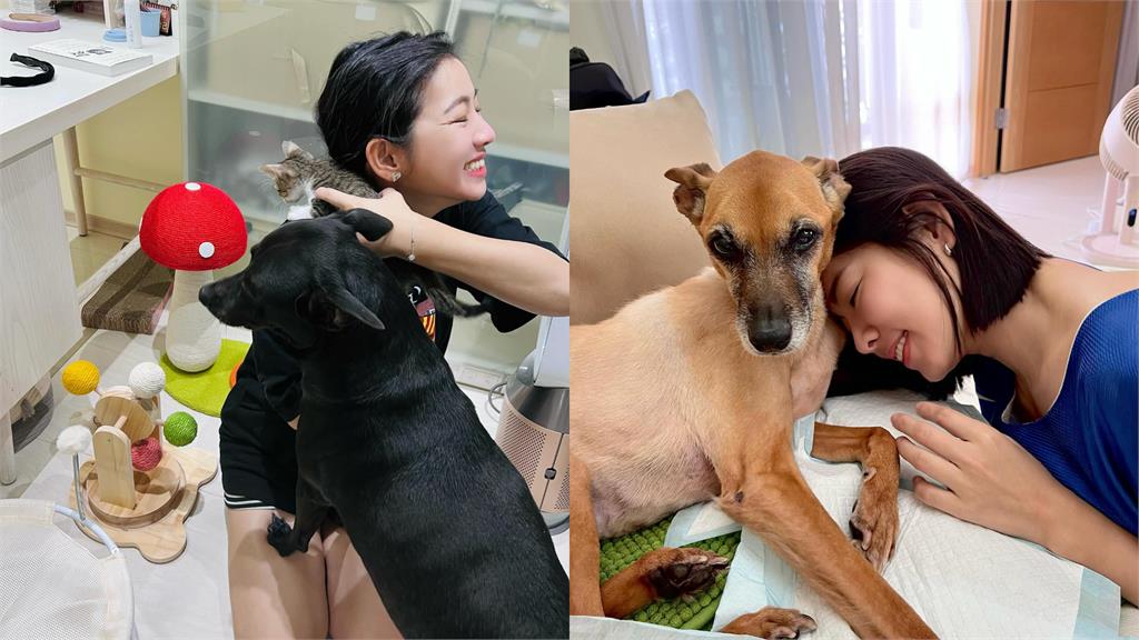 米可白639字怒斥苗栗虐犬案！痛批「割聲帶竟不算虐待」：制度破洞