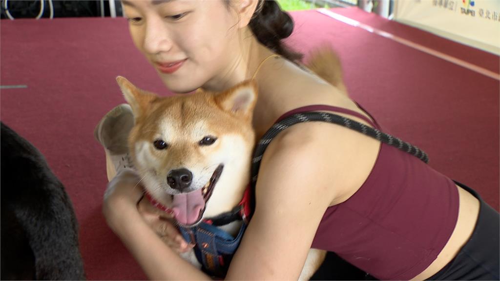 毛孩一起伸展!臺北動保教育月推廣「人寵瑜珈」