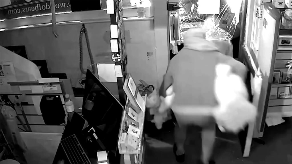 絨毛兔太夯! 英國竊賊開車「撞進」玩偶店狂偷200隻