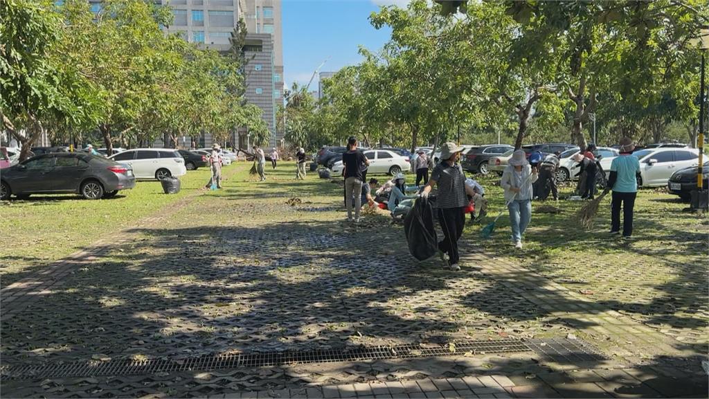 山陀兒掃過屏大校園大樹倒300棵　幸百年雨豆樹屹立不搖